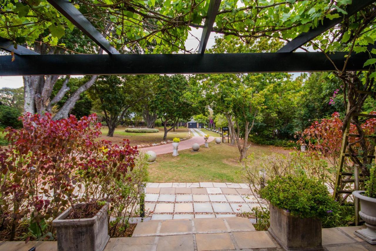 Forest Hall Guest House Πορτ Ελίζαμπεθ Εξωτερικό φωτογραφία