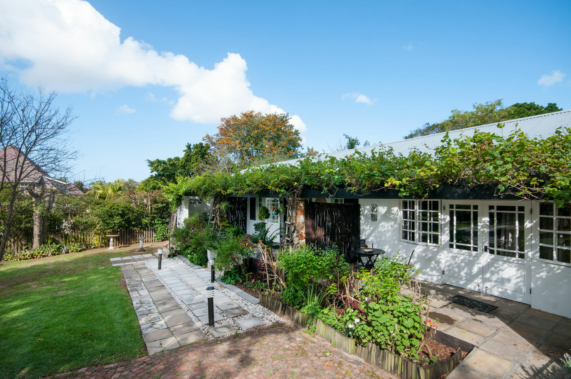 Forest Hall Guest House Πορτ Ελίζαμπεθ Εξωτερικό φωτογραφία