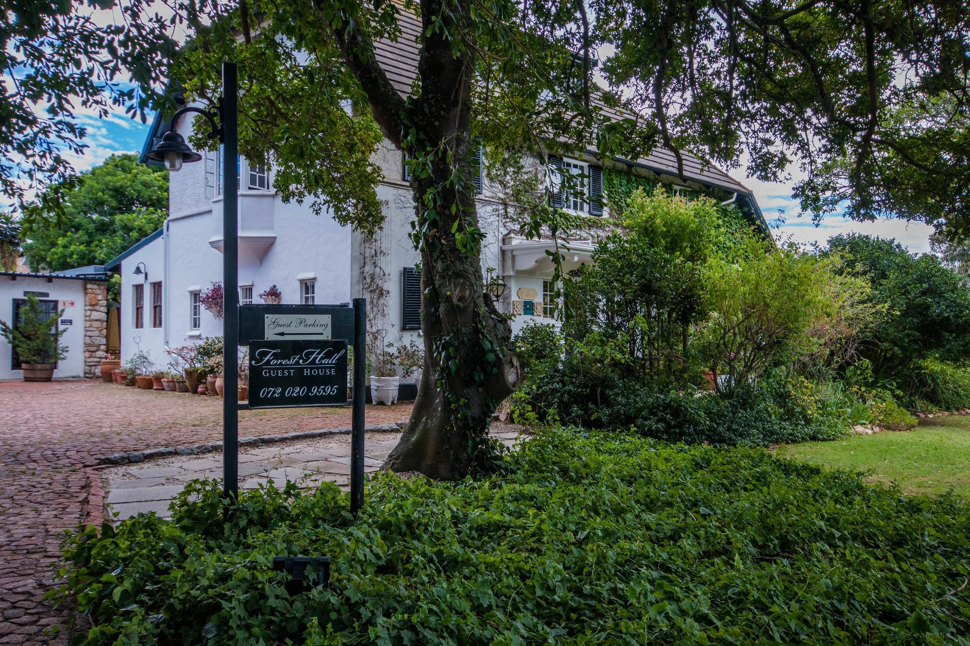 Forest Hall Guest House Πορτ Ελίζαμπεθ Εξωτερικό φωτογραφία
