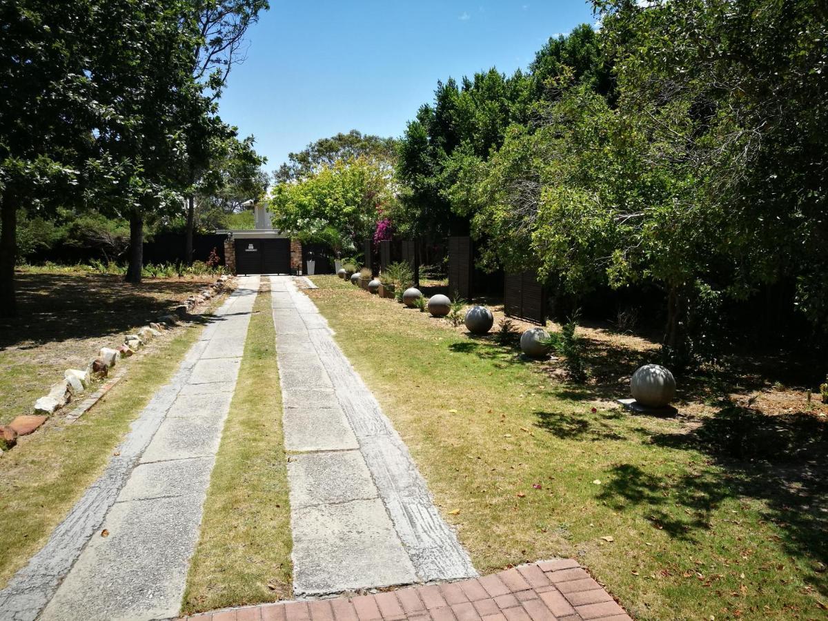 Forest Hall Guest House Πορτ Ελίζαμπεθ Εξωτερικό φωτογραφία